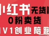 小红书无货源0粉电商课，开店准备、选品策略、笔记撰写、视频剪辑、数据分析、账号打